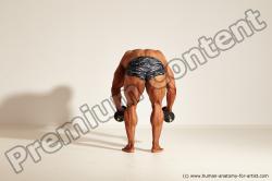Bodybuilding reference poses of Ramon